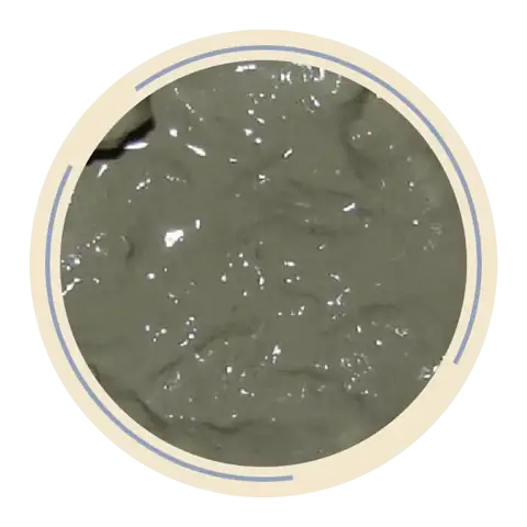 Dead Sea mud — facial